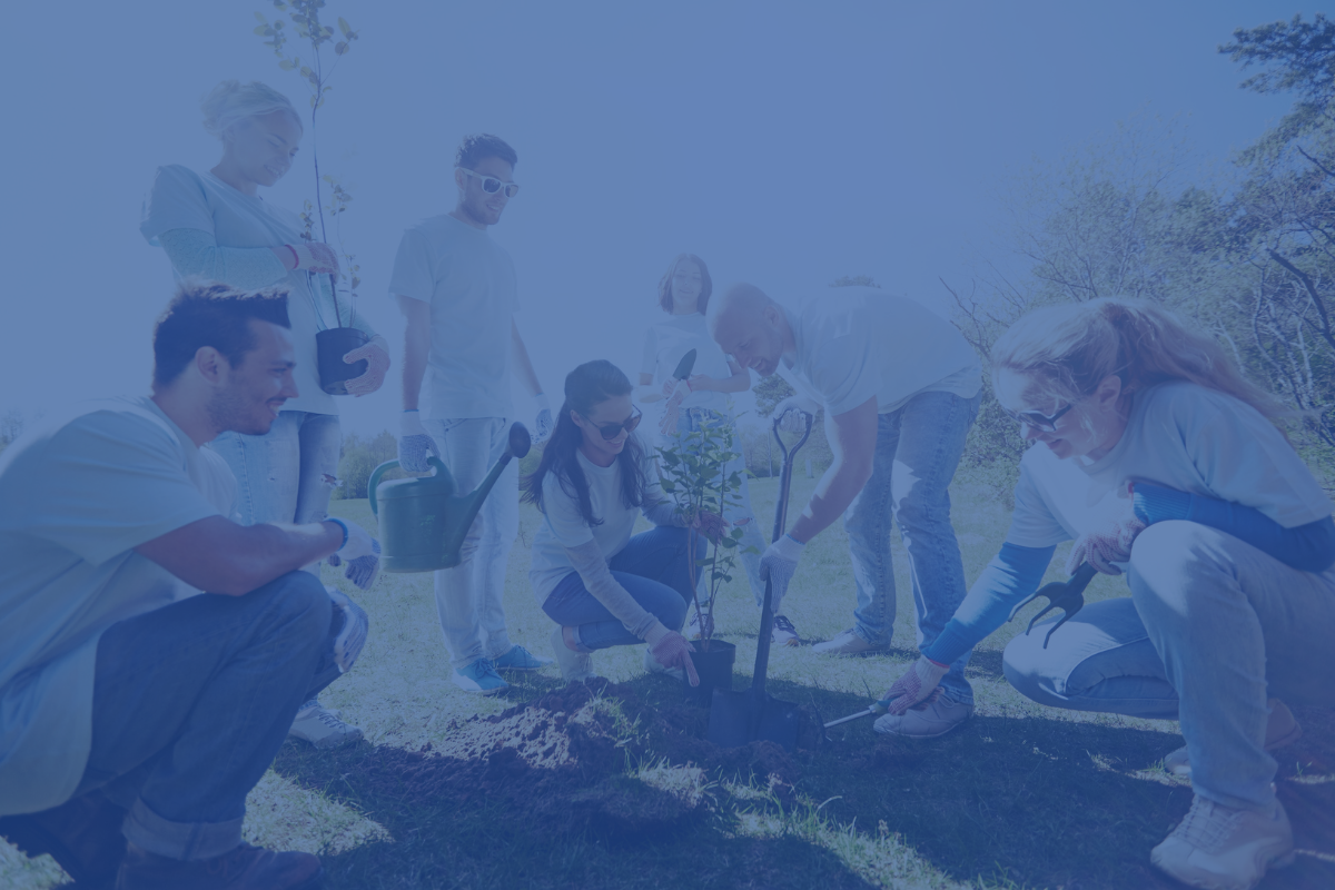 NexRep Partners with the Arbor Day Foundation NexRep